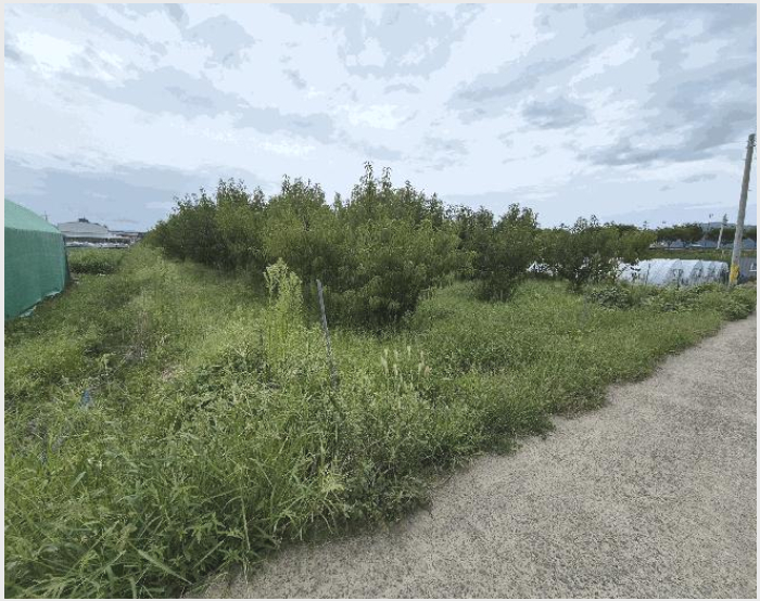 ÅäÁö(´ä) »çÁø1 | °æ»ê½Ã Áø·®À¾ ºÀȸ¸® | 2025Ÿ°æ1082 | ÅäÁö(´ä)°æ¸Å