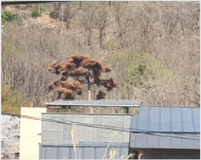 ÁÖÅà »çÁø1 | ±èÇØ½Ã Áø¿µÀ¾ ³»·æ¸® | 2025Ÿ°æ11196 | ÁÖÅðæ¸Å