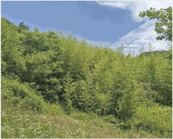 ÅäÁö(Àü) »çÁø1 | °æÁֽà »ê³»¸é ³»Àϸ® | 2025Ÿ°æ10523 | ÅäÁö(Àü)°æ¸Å