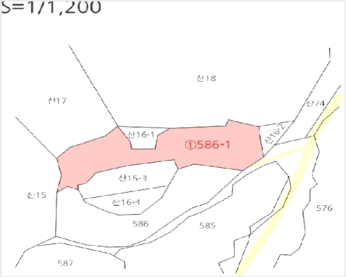 ÅäÁö(Àü) »çÁø1 | ±¸¹Ì½Ã ¼±»êÀ¾ Á×À帮 | 2025Ÿ°æ11247 | ÅäÁö(Àü)°æ¸Å