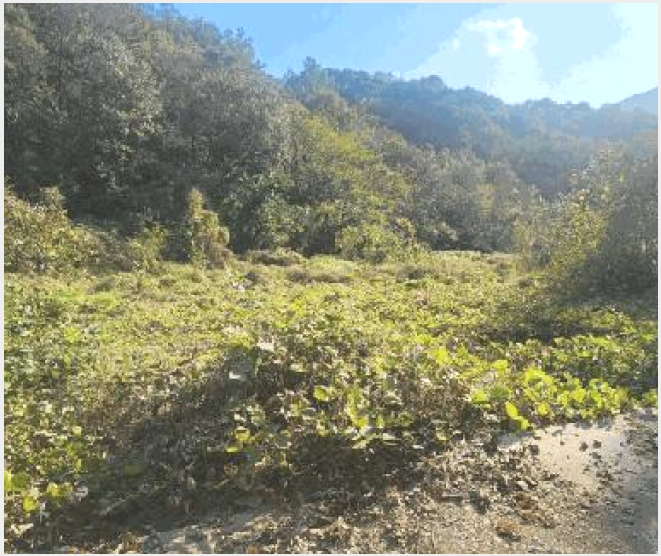 »çÁø2¹øÂ° | 2025Ÿ°æ314 | °æ»ó³²µµ ÇԾȱº ±ººÏ¸é ¼ö°î¸® Àü°æ¸Å