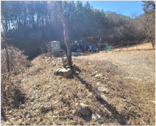 »çÁø1¹øÂ° | 2025Ÿ°æ20327 | °æ»ó³²µµ ÇԾȱº °¡¾ßÀ¾ Ç÷°î¸® ÀӾ߰æ¸Å