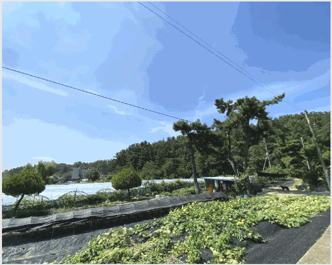 »çÁø2¹øÂ° | 2025Ÿ°æ52816 | °æ±âµµ ¾È»ê½Ã ´Ü¿ø±¸ ´ëºÎµ¿µ¿ ÀӾ߰æ¸Å