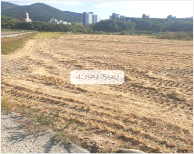 »çÁø7¹øÂ° | 2023Ÿ°æ4399 | ºÎ»ê±¤¿ª½Ã ±âÀ屺 Á¤°üÀ¾ ¿ë¼ö¸® ´ä°æ¸Å