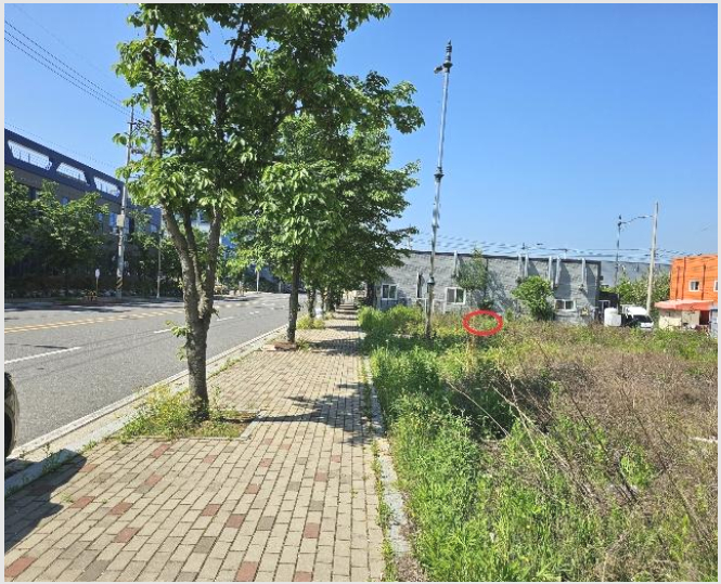»çÁø5¹øÂ° | 2024Ÿ°æ4155 | °æ»óºÏµµ Ä¥°î±º ¿Ö°üÀ¾ ³«»ê¸® ´ëÁö°æ¸Å