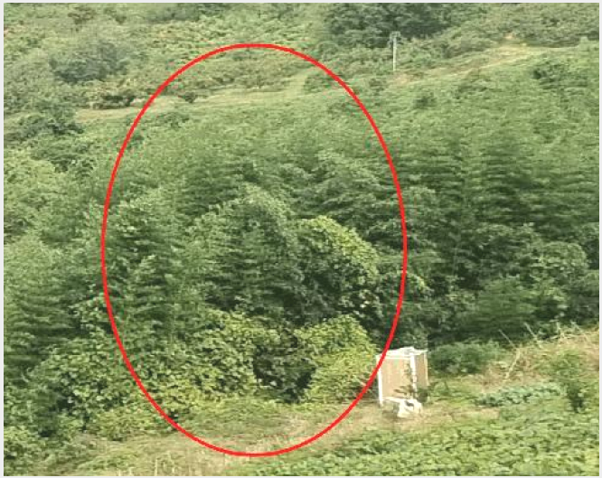 »çÁø7¹øÂ° | 2024Ÿ°æ7068 | °æ»ó³²µµ ±èÇØ½Ã ÇѸ²¸é ±Ý°î¸® ÀӾ߰æ¸Å
