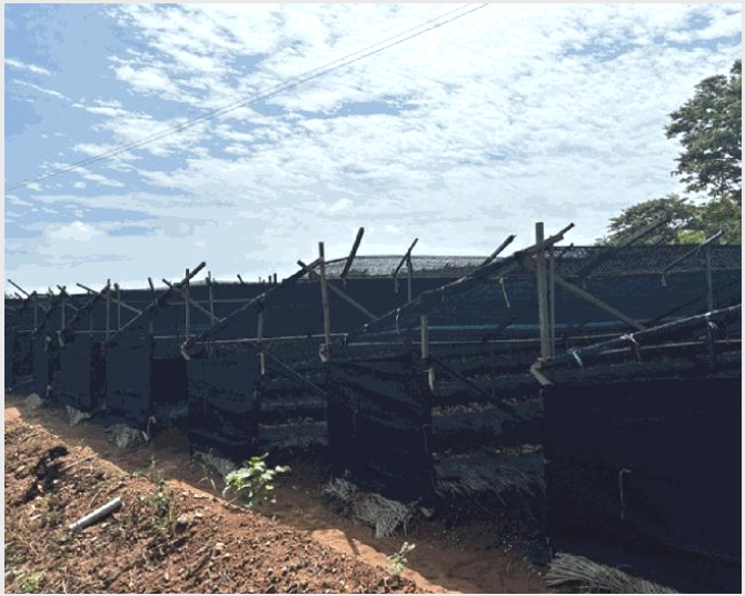 »çÁø5¹øÂ° | 2025Ÿ°æ51537 | ÃæÃ»³²µµ žȱº ¼Ò¿ø¸é ½Ã¸ñ¸® Àü°æ¸Å