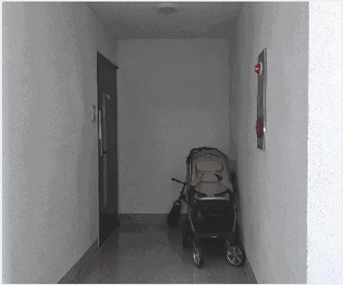 »çÁø2¹øÂ° | 2025Ÿ°æ32825 | Àü¶ó³²µµ À强±º »ï°è¸é Áֻ긮 ´Ù¼¼´ë(ºô¶ó)°æ¸Å