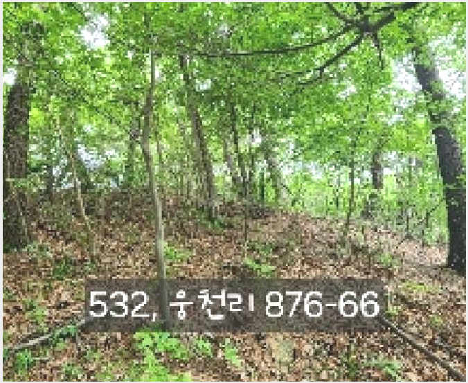 »çÁø6¹øÂ° | 2025Ÿ°æ532 | ºÎ»ê±¤¿ª½Ã ±âÀ屺 ö¸¶¸é ¿õõ¸® â°í°æ¸Å