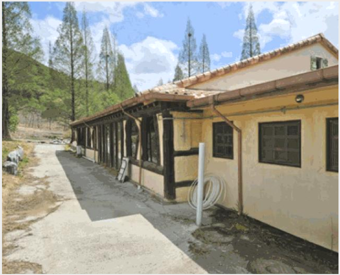 »çÁø1¹øÂ° | 2025Ÿ°æ11548 | ÃæÃ»³²µµ ¾Æ»ê½Ã À½ºÀ¸é »ï°Å¸® ±Ù¸°ÁÖÅðæ¸Å