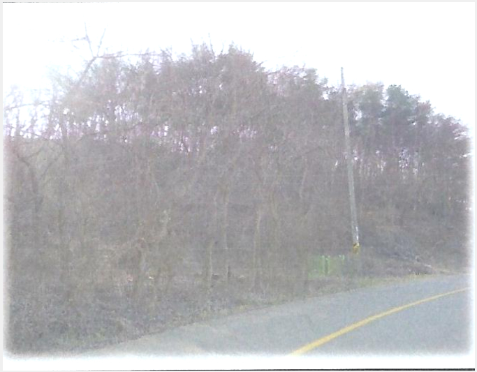 »çÁø9¹øÂ° | 2023Ÿ°æ3712 | °æ»óºÏµµ Æ÷Ç׽à ³²±¸ µ¿Çظé ÀӾ߰æ¸Å