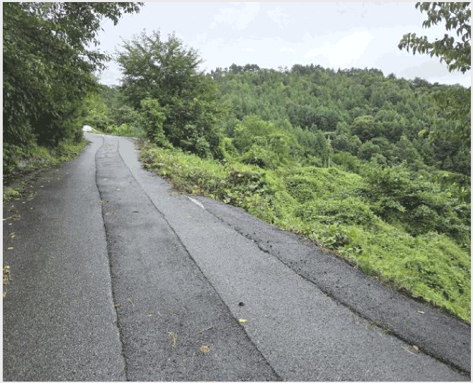 »çÁø7¹øÂ° | 2025Ÿ°æ30242 | ÀüºÏƯº°ÀÚÄ¡µµ Àå¼ö±º °èºÏ¸é ¿øÃ̸® ´ä°æ¸Å