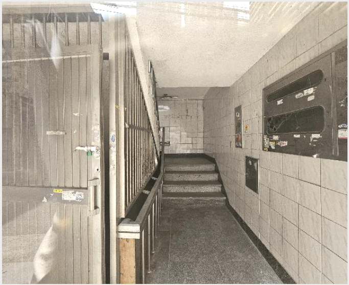»çÁø1¹øÂ° | 2025Ÿ°æ1800 | ºÎ»ê±¤¿ª½Ã ºÎ»êÁø±¸ ¹üõµ¿ 881-62 ±Ù¸°½Ã¼³°æ¸Å