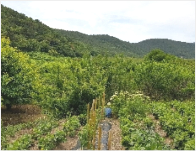 »çÁø6¹øÂ° | 2019Ÿ°æ4431 | Àü¶ó³²µµ ±¤¾ç½Ã Ȳ±æµ¿ 1107 ´ä°æ¸Å
