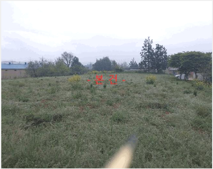 »çÁø4¹øÂ° | 2025Ÿ°æ201 | ÀüºÏƯº°ÀÚÄ¡µµ °íⱺ ½Å¸²¸é ¹ýÁö¸® ÀӾ߰æ¸Å