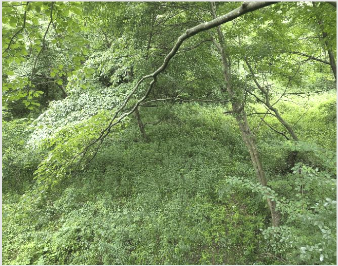 »çÁø9¹øÂ° | 2025Ÿ°æ1165 | ÀüºÏƯº°ÀÚÄ¡µµ Àå¼ö±º Àå¼öÀ¾ ¼öºÐ¸® Àü°æ¸Å