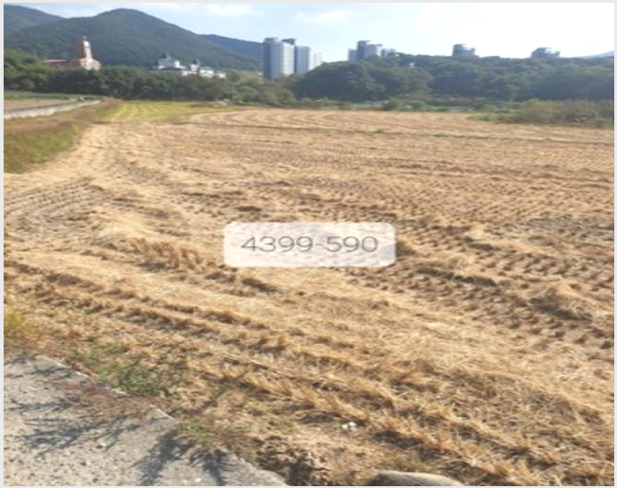 »çÁø8¹øÂ° | 2023Ÿ°æ4399 | ºÎ»ê±¤¿ª½Ã ±âÀ屺 Á¤°üÀ¾ ¿ë¼ö¸® ´ä°æ¸Å