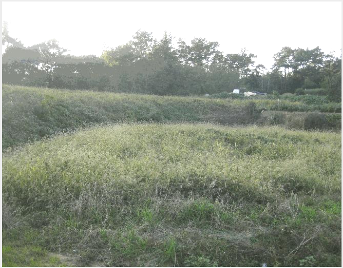 »çÁø8¹øÂ° | 2025Ÿ°æ5979 | Àü¶ó³²µµ ¿µ±¤±º ¿°»ê¸é »ó°è¸® Àü°æ¸Å