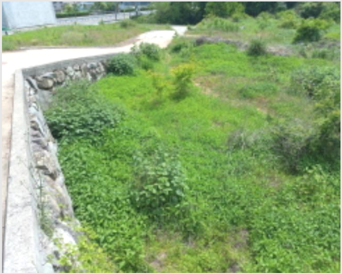 »çÁø7¹øÂ° | 2024Ÿ°æ2738 | °æ»ó³²µµ »çõ½Ã µ¿µ¿ 437 ´ä°æ¸Å