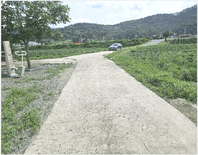 »çÁø10¹øÂ° | 2025Ÿ°æ10188 | °æ»óºÏµµ ÀǼº±º ´ÜÃÌ¸é ¼¼Ã̸® â°í¿ëÁö°æ¸Å