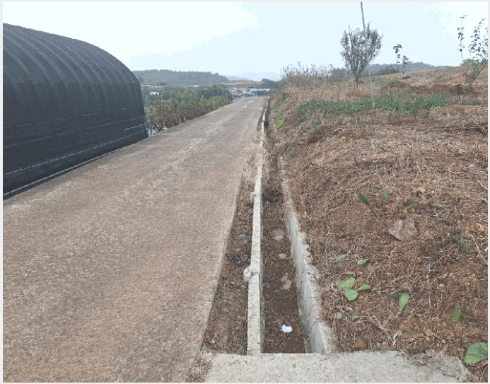 »çÁø7¹øÂ° | 2025Ÿ°æ52138 | Àü¶ó³²µµ °íÈﱺ ³²¾ç¸é ¸ÁÁÖ¸® Àü°æ¸Å