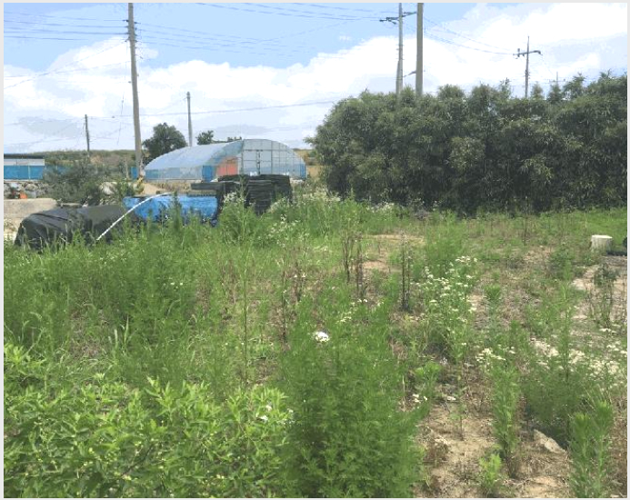 »çÁø4¹øÂ° | 2025Ÿ°æ50505 | Àü¶ó³²µµ ÇØ³²±º ¸¶»ê¸é ÇÐÀǸ® µµ·Î°æ¸Å