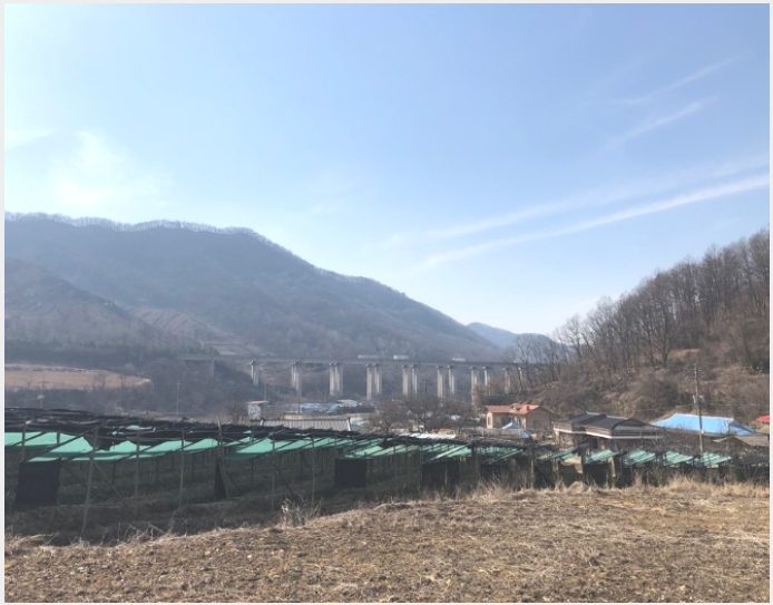 »çÁø9¹øÂ° | 2019Ÿ°æ1766 | ÃæÃ»ºÏµµ ±«»ê±º À忬¸é Á¶°î¸® Àü°æ¸Å