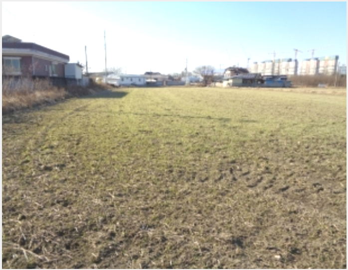 »çÁø8¹øÂ° | 2022Ÿ°æ86 | Àü¶óºÏµµ ¿ÏÁÖ±º »ï·ÊÀ¾ ¼ö°è¸® ´ä°æ¸Å