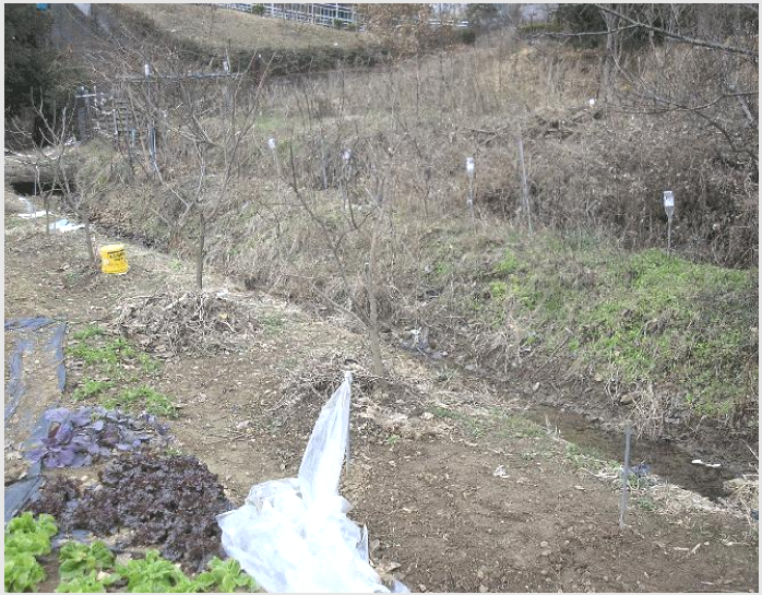 »çÁø1¹øÂ° | 2025Ÿ°æ52406 | Àü¶ó³²µµ ¼øÃµ½Ã ¿¬Ç⵿ 317-6 ´ä°æ¸Å