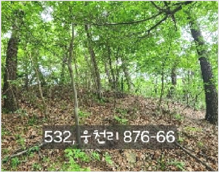 »çÁø1¹øÂ° | 2025Ÿ°æ532 | ºÎ»ê±¤¿ª½Ã ±âÀ屺 ö¸¶¸é ¿õõ¸® â°í°æ¸Å