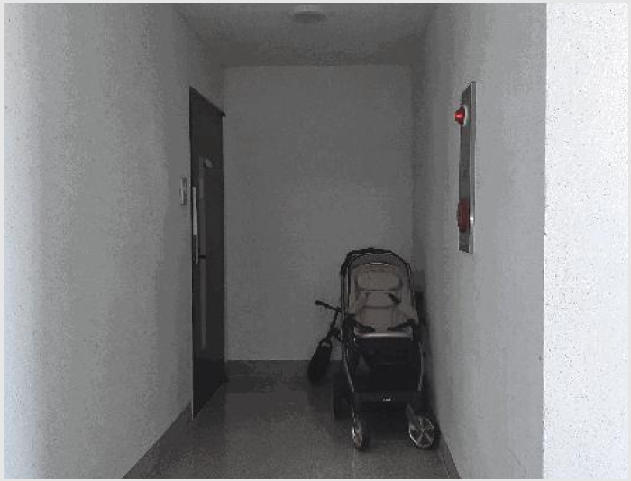»çÁø10¹øÂ° | 2025Ÿ°æ32825 | Àü¶ó³²µµ À强±º »ï°è¸é Áֻ긮 ´Ù¼¼´ë(ºô¶ó)°æ¸Å