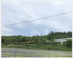 �Ӿ� ����1 | û�籺 ����� �ſ��� �Ӿ� | 2019Ÿ��20599