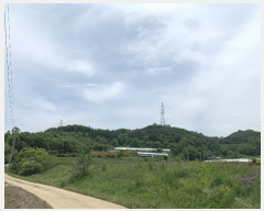 �Ӿ� ����2 | û�籺 ����� �ſ��� �Ӿ� | 2019Ÿ��20599