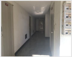 2019Ÿ��1526 �泲 ���ֽ� �žȵ� 766-2       �ٰ������ð��