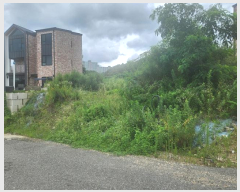  2024Ÿ��79240 ��� ���ν� ���ﱸ ������ 153-7      ����(�Ӿ�)���