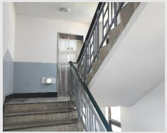  2024Ÿ��110807 ���� ����� �񷡵���16���� 17, 5��504ȣ      ����Ʈ���