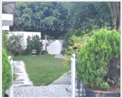  2024Ÿ��114731 �뱸 �߱� ����� 31-23       ����,â�����
