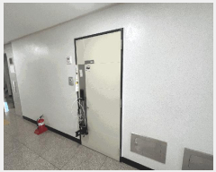  2025Ÿ��51600 ���� ���ı� ��ǵ� 250 �߷��ǿ�2�� 5��506ȣ     �ټ���,������