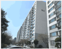 ����Ʈ ����1 | ������ ������ 582 ����Ʈ | 2025Ÿ��508213