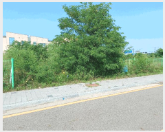 ���� ����2 | ������ ������ ��긮 ���� | 2025Ÿ��33976