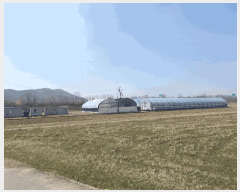  2025Ÿ��55249 ��� ȭ���� ��ź�� ���帮 236-1      ����(��)���
