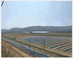  2025Ÿ��55249 ��� ȭ���� ��ź�� ���帮 236-1      ����(��)���