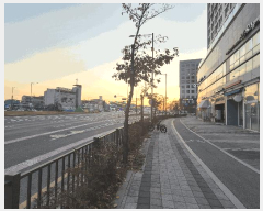 2025Ÿ��53384 ��� �ϳ��� ǳ�굿 527 �ν�Ÿ��Ƽ 5��521ȣ     ���ǽ��ڰ��