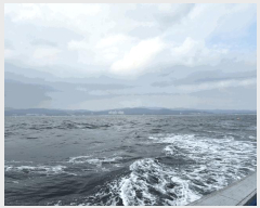 ����� ����1 | ��籺 �վ�� �������� ����� | 2025Ÿ��10406