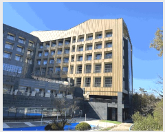  2025Ÿ��30572 ���� ��â�� ����ɸ� Ⱦ�踮 245-66 �󸶴�ȣ�ھؽ���Ʈ������â 1(ȣ��)�� 1����-110ȣ   �ܵ�(ȣ��)���