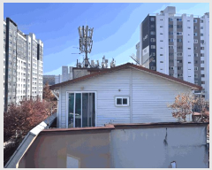  2025Ÿ��51942 ��� û�ֽ� ��籸 ��õ�� 83-13      �ܵ�����,�����ð��