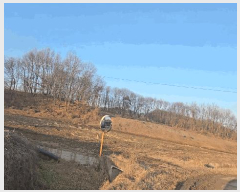  2025Ÿ��30979 ��� ������ ���ظ� �۰ 109-3      ����(��)���