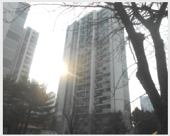 ����Ʈ ����2 | ��ġ���� ���︮ 393 ����Ʈ | 2025Ÿ��503937