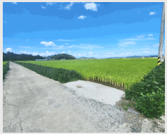  2025Ÿ��1144 �泲 ��õ�� �ѻ�� ��긮 46-19      ����(��)���