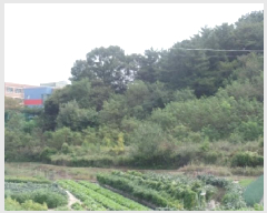  2025Ÿ��468 �泲 ���� ����� ���縮 232-177      ����(�Ӿ�)���